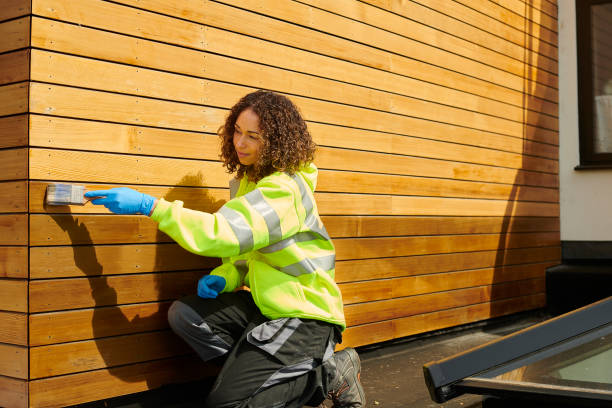 Best Custom Trim and Detailing for Siding  in Walnut Hill, TN