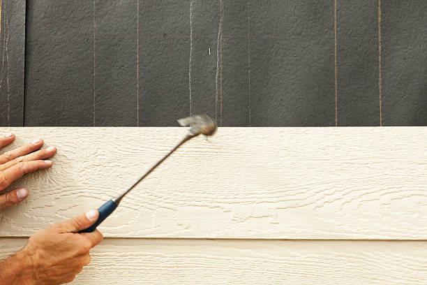 Best Storm Damage Siding Repair  in Walnut Hill, TN